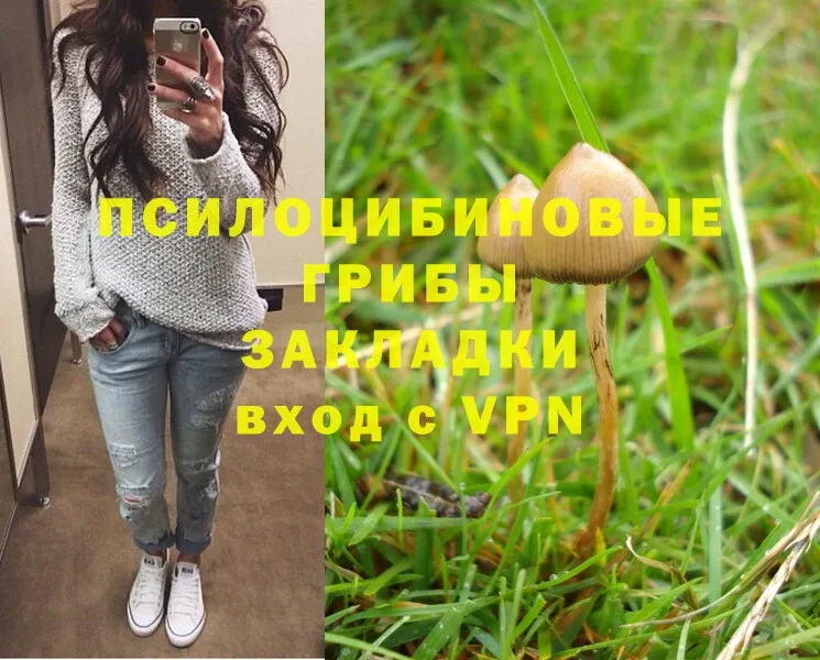 закладка  Шуя  Галлюциногенные грибы Magic Shrooms 